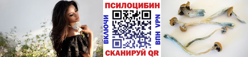 как найти наркотики  Нефтегорск  Галлюциногенные грибы мицелий 